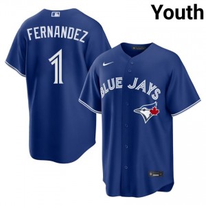 Youth Tony Fernandez #1 Royal Stitched Jersey | Jays Elite Baseball Gear 49849307